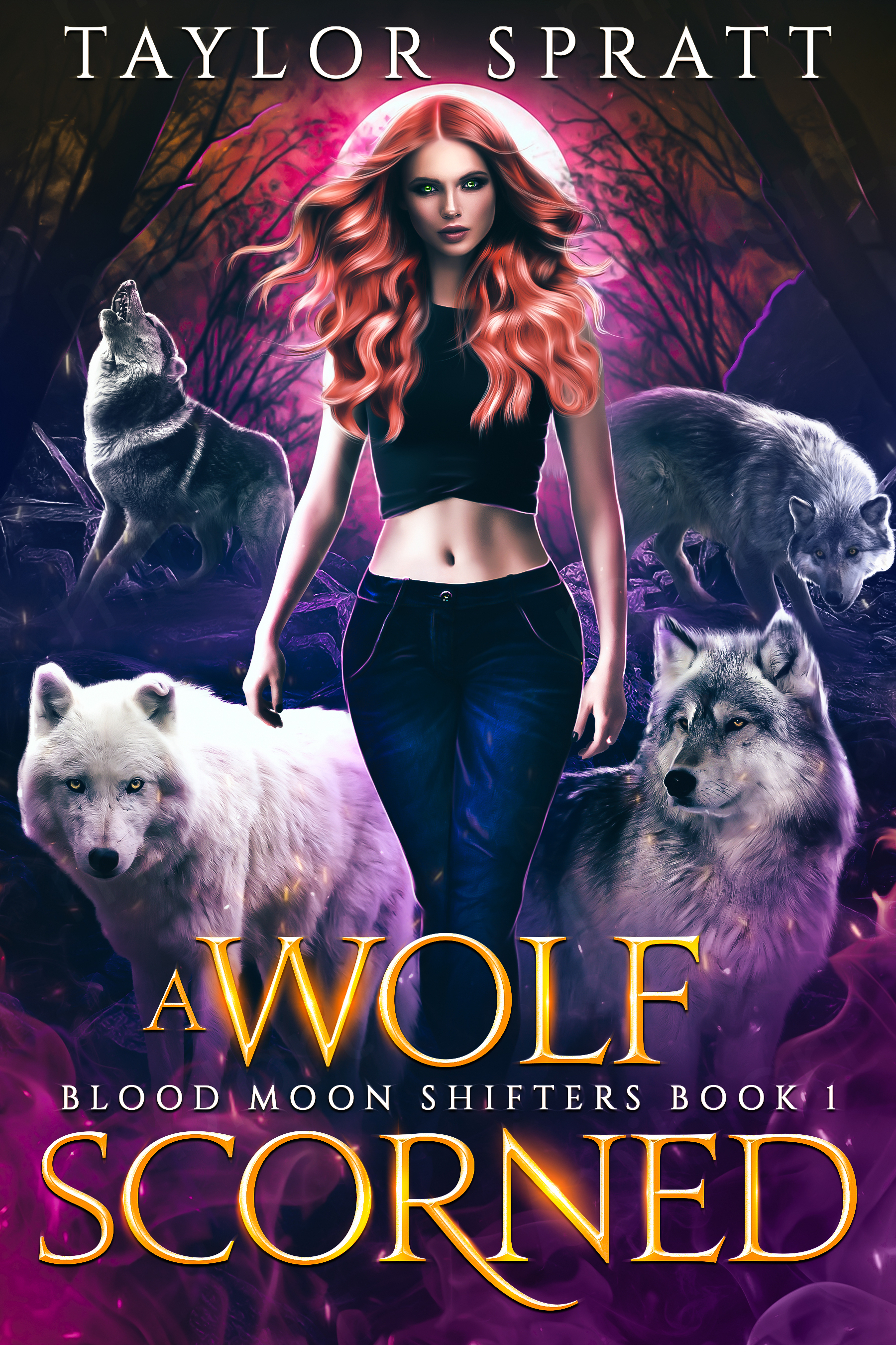 A Wolf Scorned cover